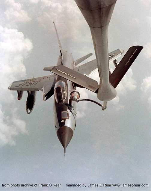 성별 구분 이거 맞나_7.webp