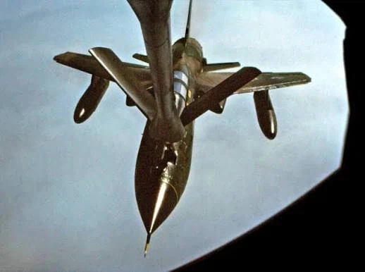 성별 구분 이거 맞나_8.webp