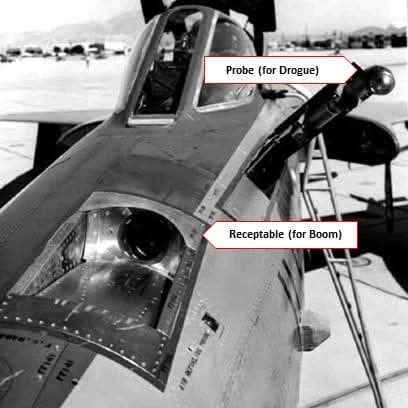 성별 구분 이거 맞나_10.webp