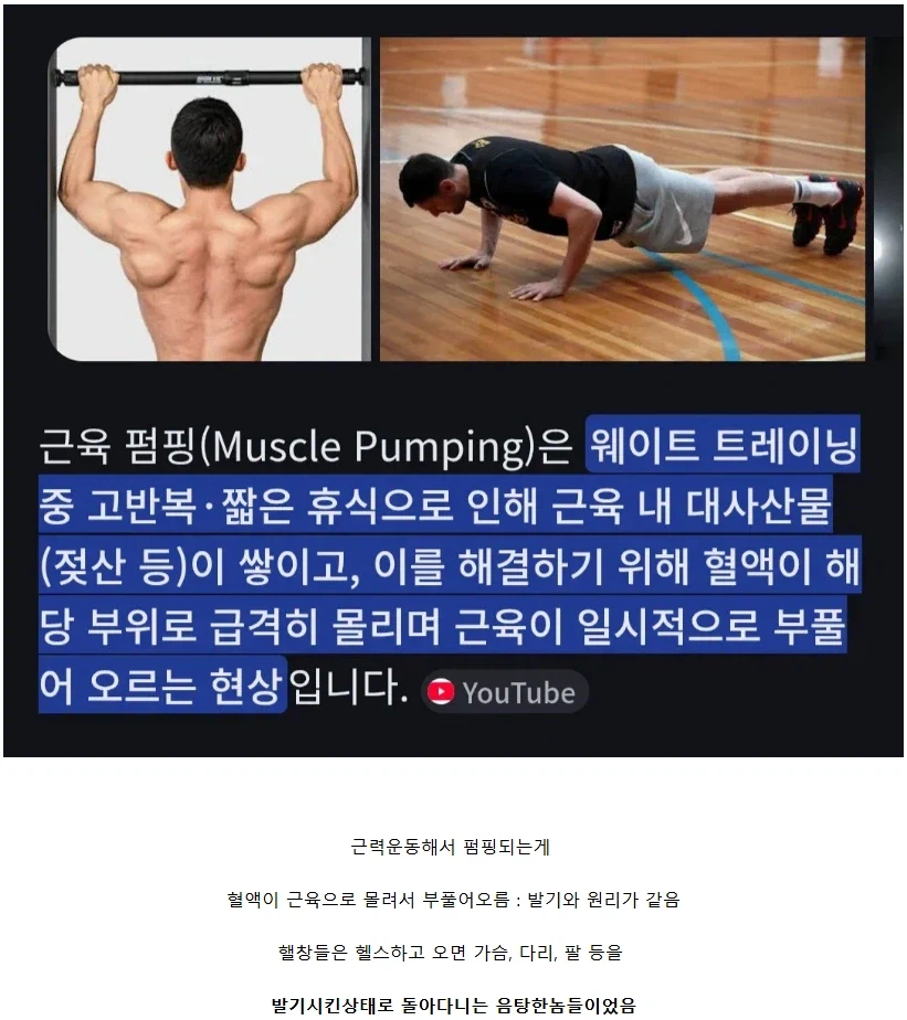 헬스를 하면 근육이 펌핑되는 원리_1.webp