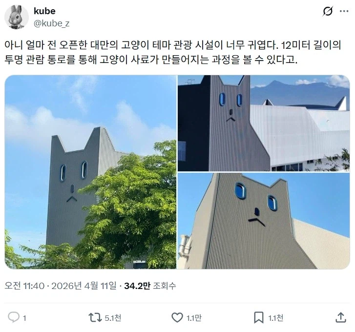 아니 얼마 전 오픈한 대만의 고양이 테마 관광 시설_1.webp