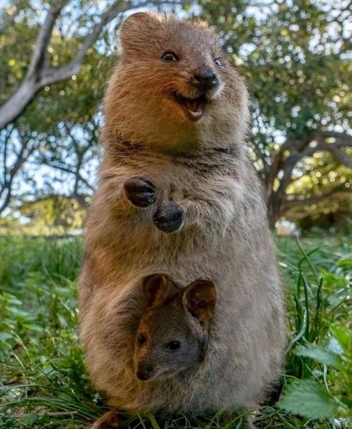 소개팅 앱 후기_1.webp