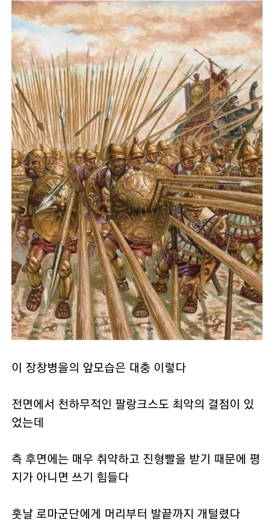 고대 그리스 팔랑크스에 대해 알아보자_3.webp