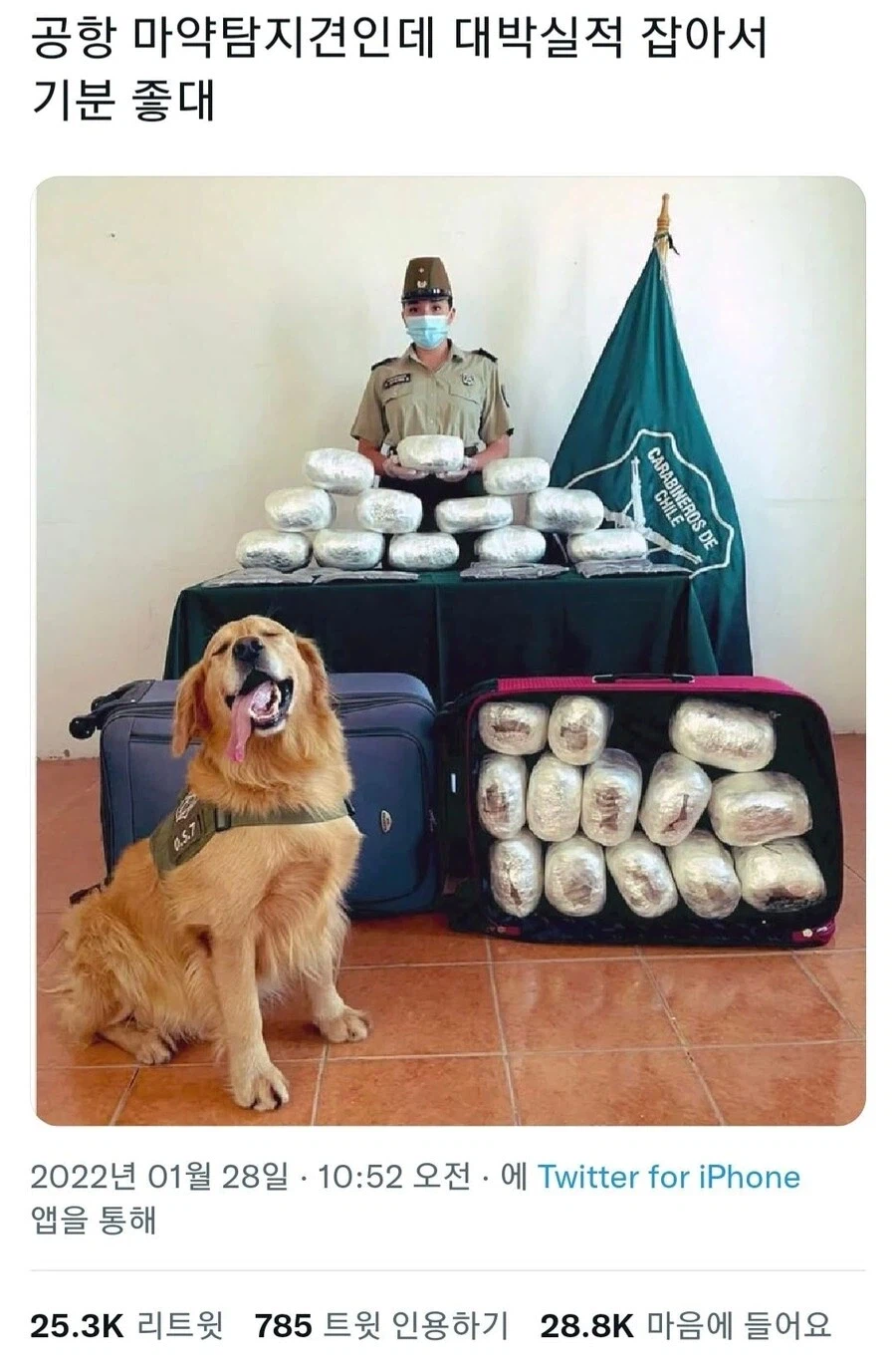 실적 올려 기분좋은 공항 ㅁㅇ탐지견_1.webp