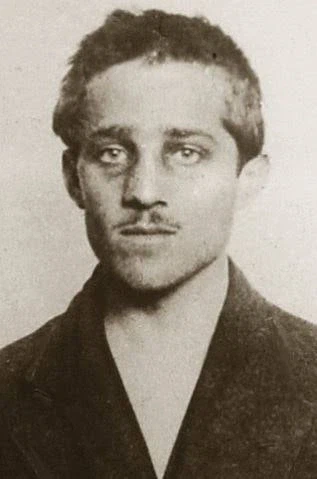 사라예보 사건의 운명_2.webp