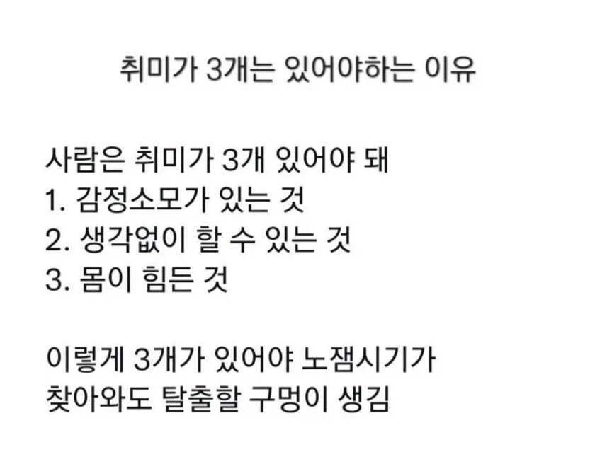 사람이 취미는 3개 있어야 한다는 아카라이브인_1.webp