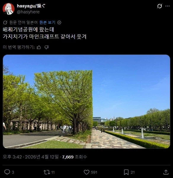 그래픽 버그 생긴 공원_1.webp