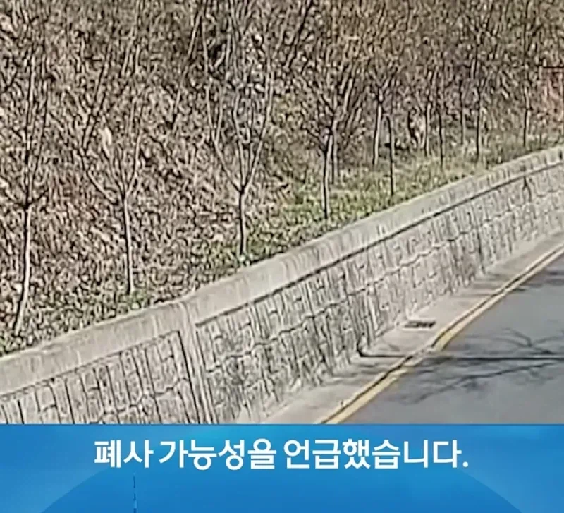 탈출늑대 죽었을 확률이 크다고함_1.webp