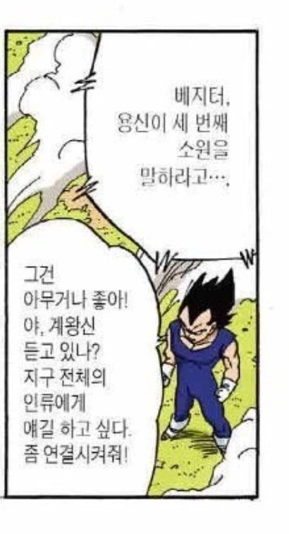 (드래곤볼) 무능한 공무원(?)들.._2.webp