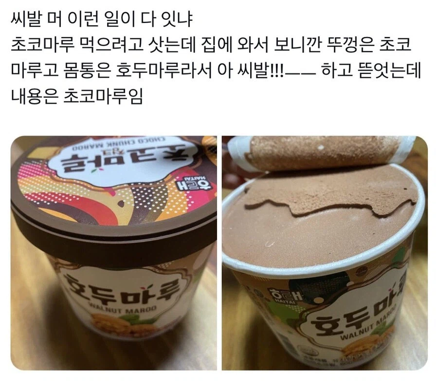 초코마루인데 호두마루임_1.webp