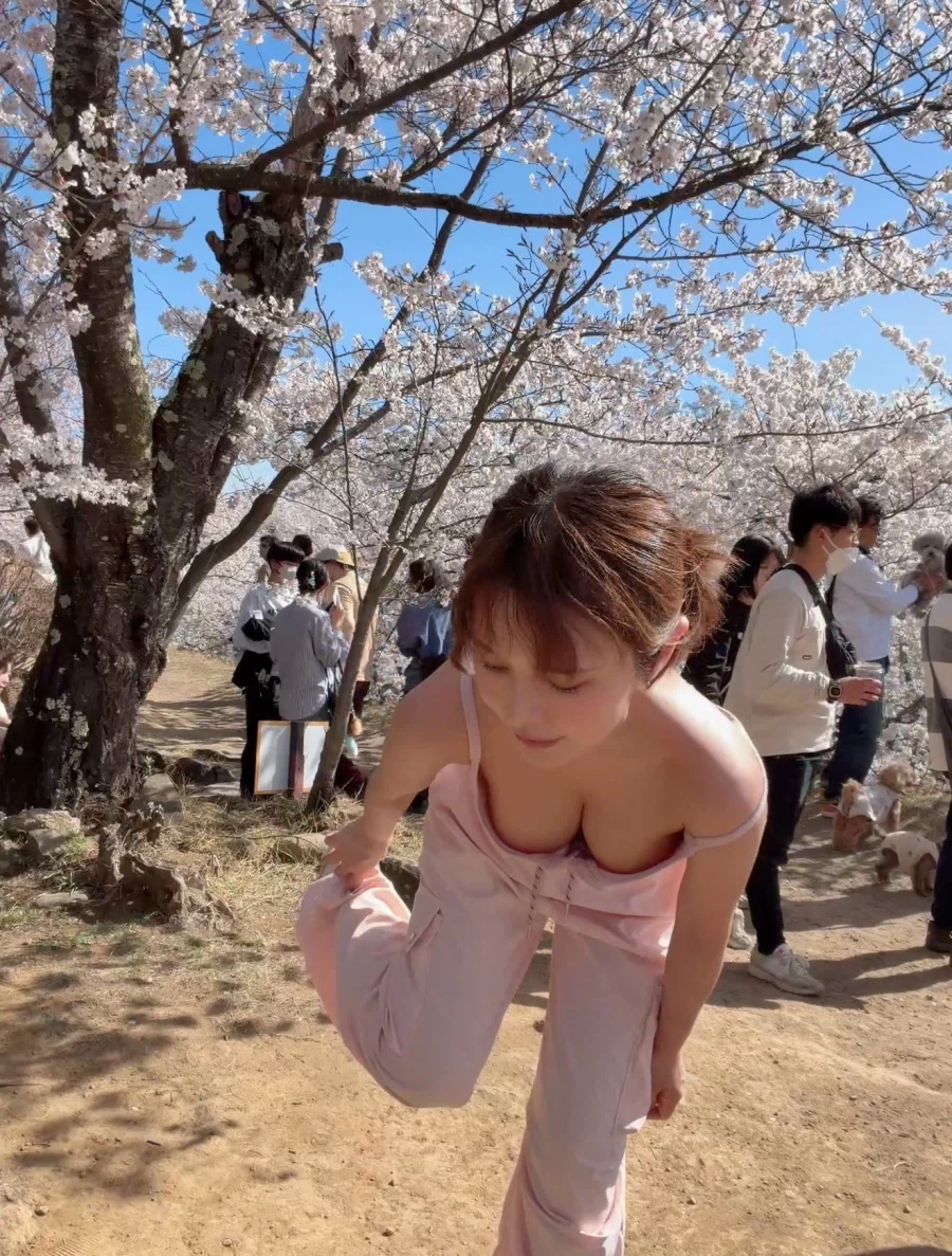 일본 벚꽃 모습.jpg_1.webp