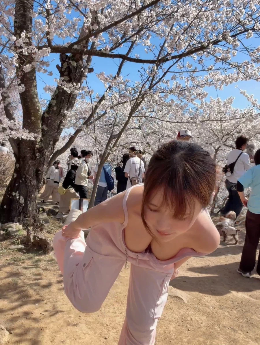 일본 벚꽃 모습.jpg_2.webp
