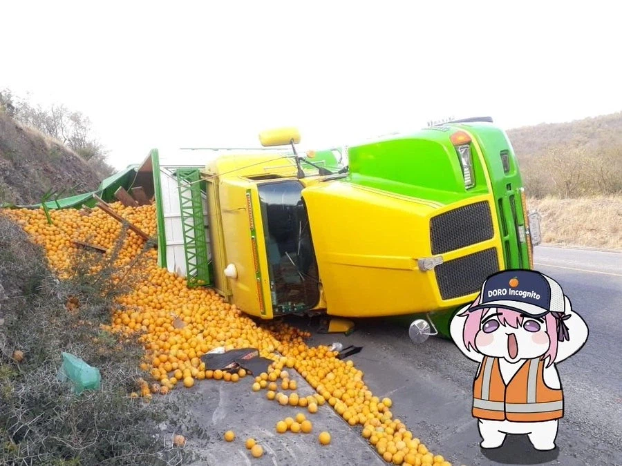 귤 운반하던 트럭의 최후_2.webp