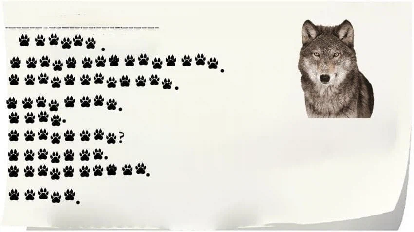 대전시 늑구 흔적 발견 ㄷㄷㄷ_1.webp