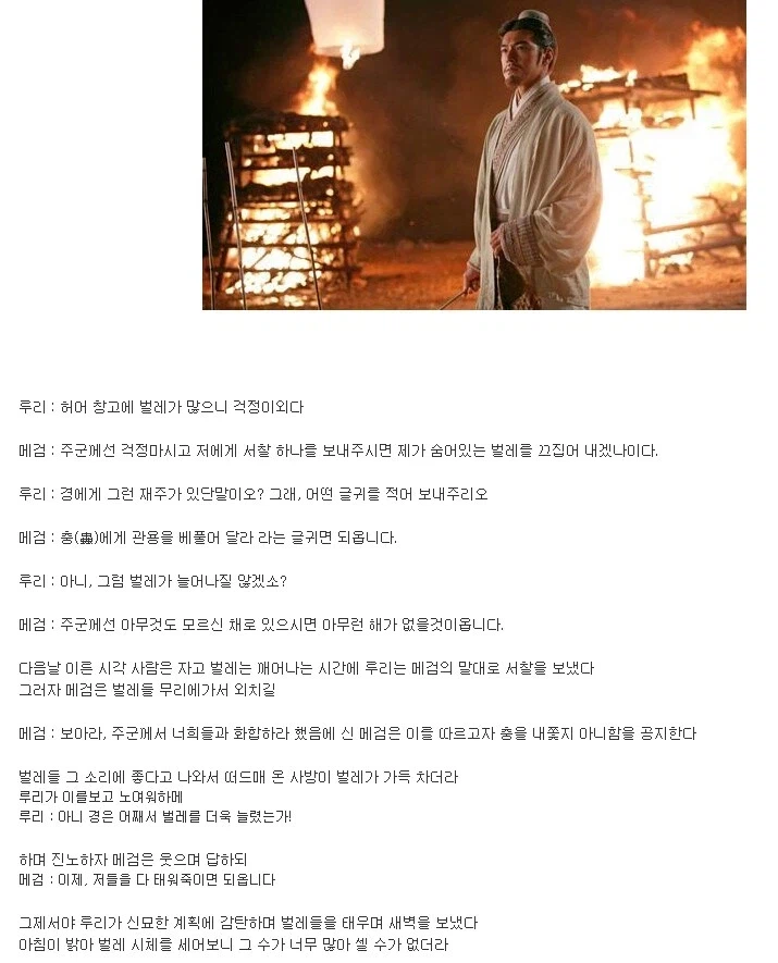 노 누체 쓰는 벌레들 잡기_1.webp