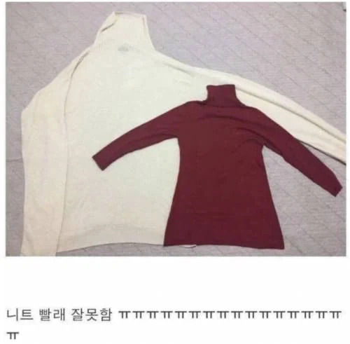 니트 빨래 잘못함_1.webp