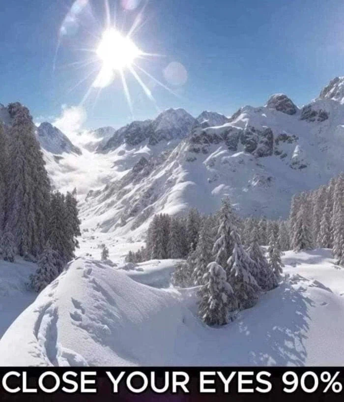 AI에게 착시짤을 보여줬더니 반응_1.webp