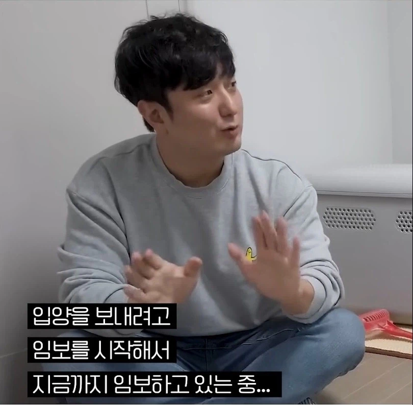 길고양이 입양 보내야 하니 2년만 임시보호 해야지_1.webp