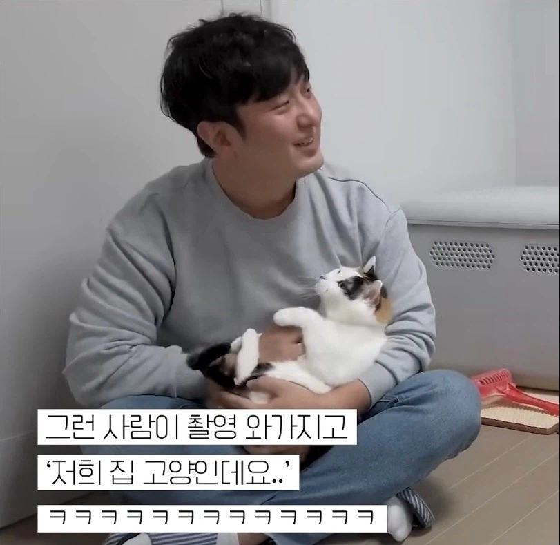 길고양이 입양 보내야 하니 2년만 임시보호 해야지_4.webp