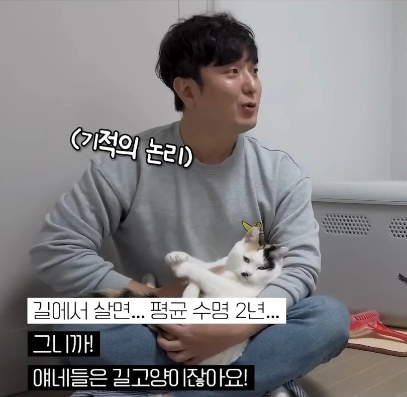 길고양이 입양 보내야 하니 2년만 임시보호 해야지_5.webp