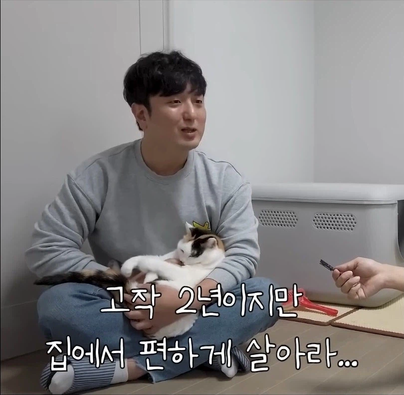 길고양이 입양 보내야 하니 2년만 임시보호 해야지_6.webp