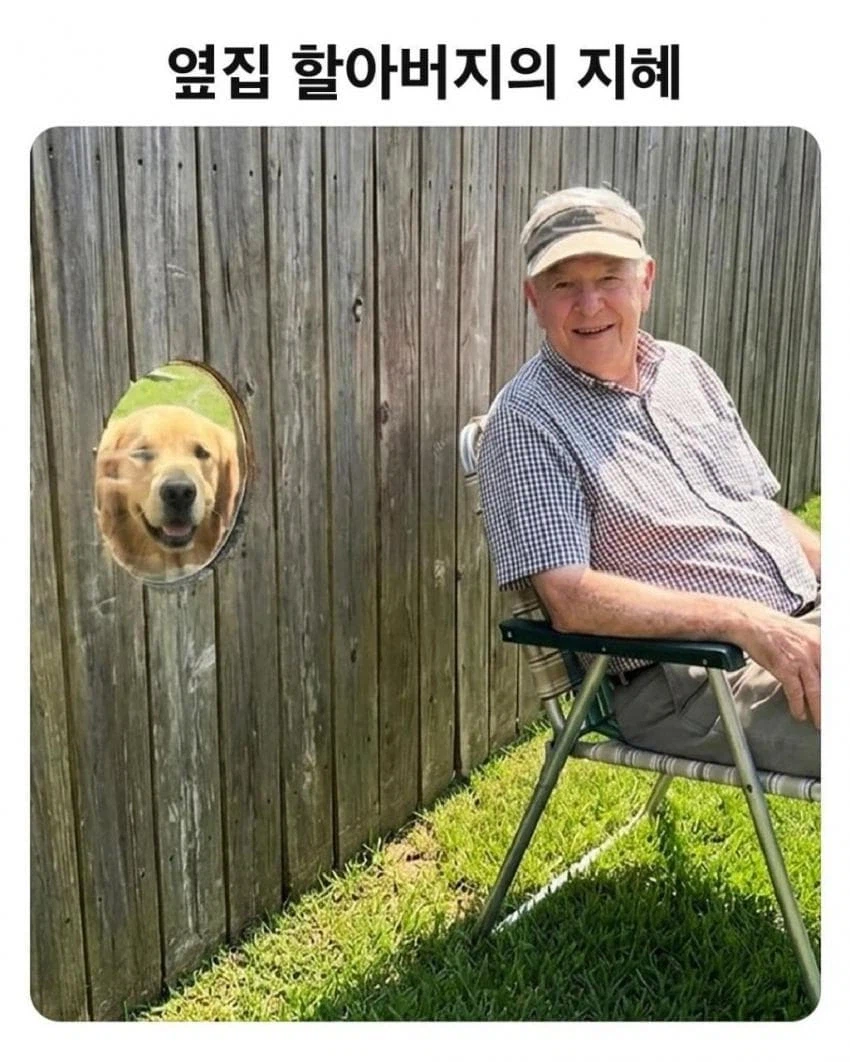 공생하는 방법을 아는 할아버지_3.webp