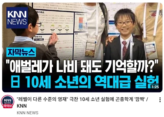 애벌레는 번데기가 되면 액체로 녹아 내려 버린다.jpg_2.webp