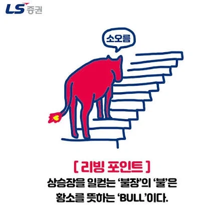 의외로 의외인 주식 불장의 뜻_1.webp