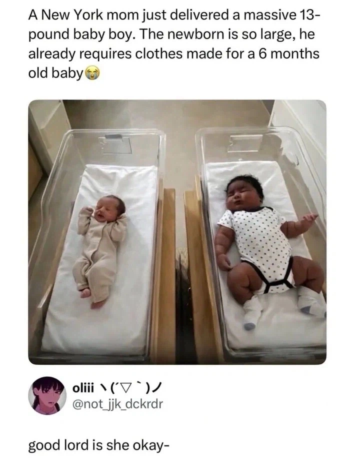 뉴욕에서 태어난 우량아_1.webp