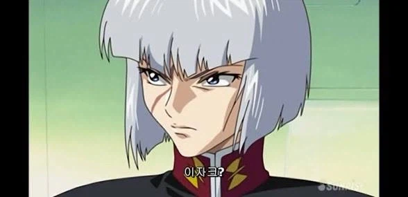 시드 시리즈에서 분명 성장했는데 별로 안 느껴지는 녀석_1.webp