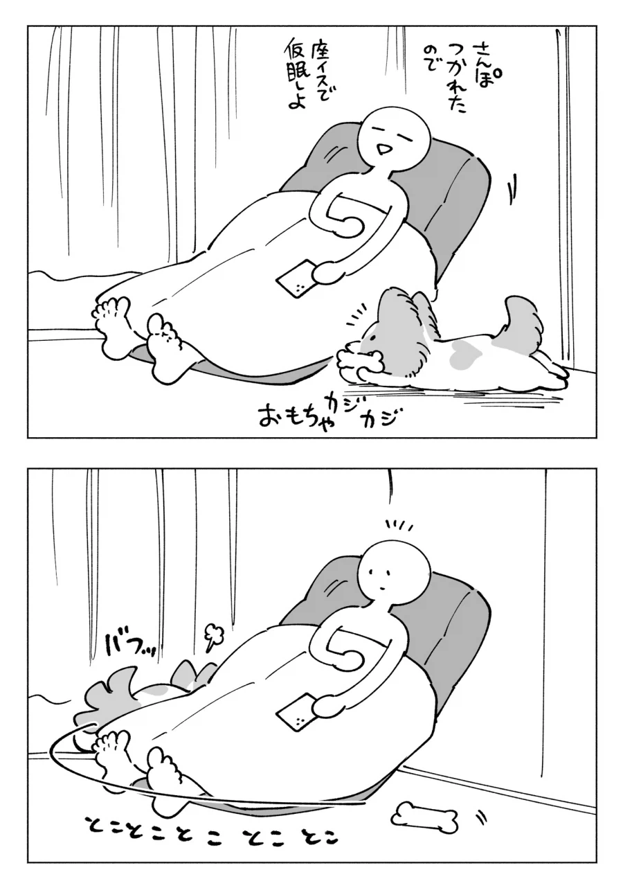 강아지와 함께 하는 생활.jpg_1.webp