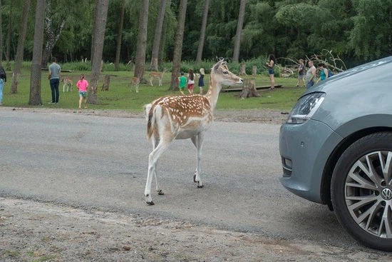 오컴 친구인데 잘 안 알려진 면도날_2.webp