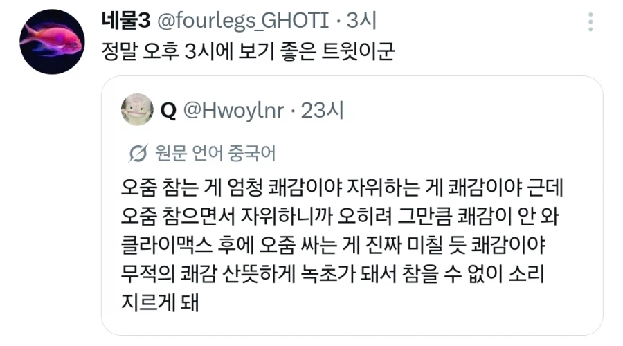 X 자동번역이 뭐 그리 쓸모있나_1.webp