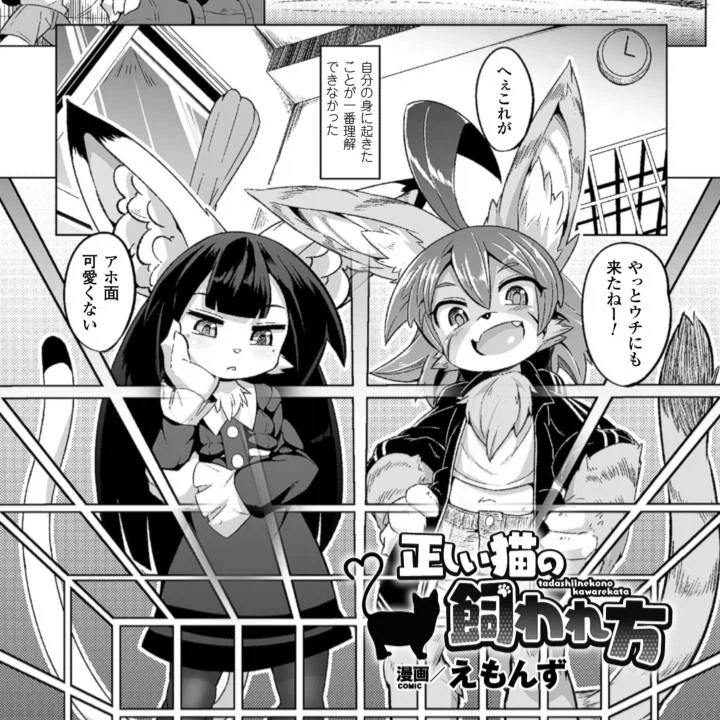 대충 펫을 기르기 시작한 두 암컷_1.webp