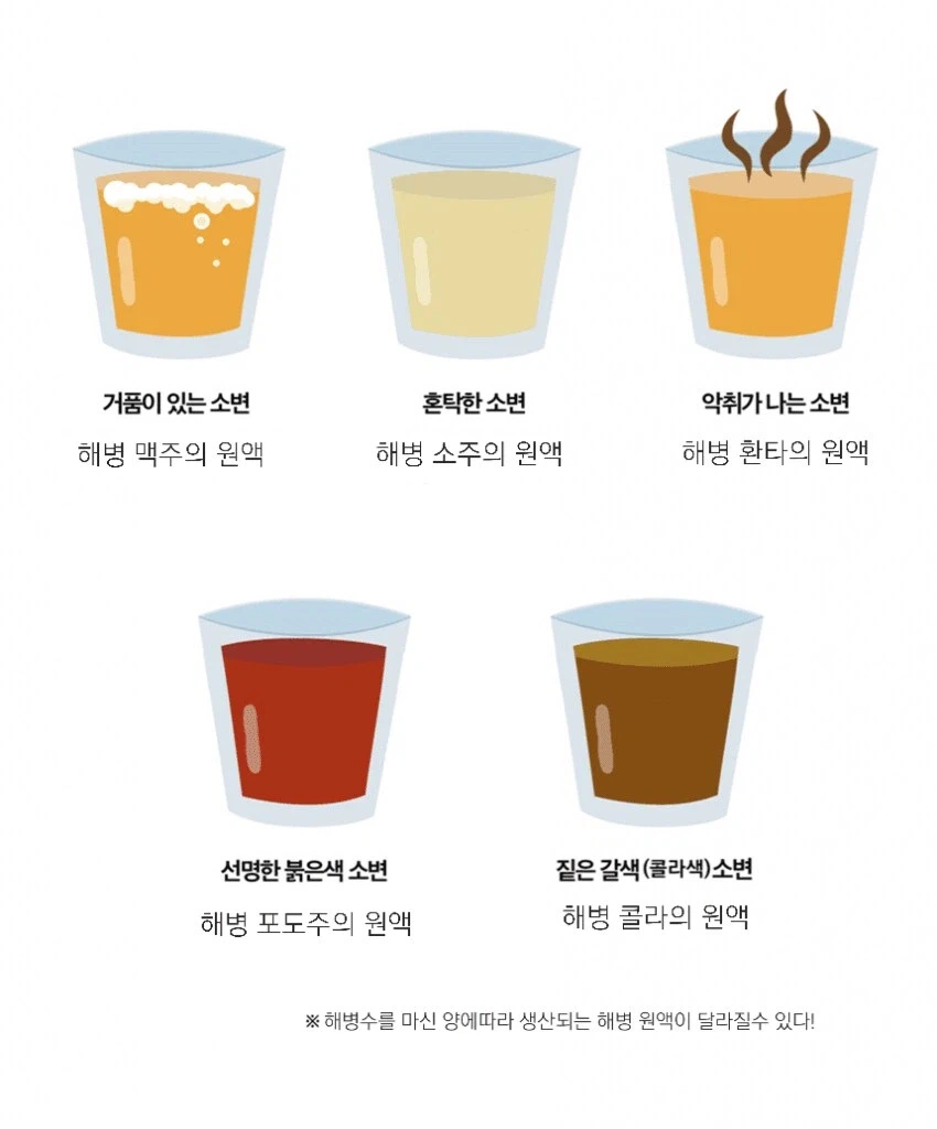 해병) 소변 색깔로 알아보는 간단한 상식_1.webp