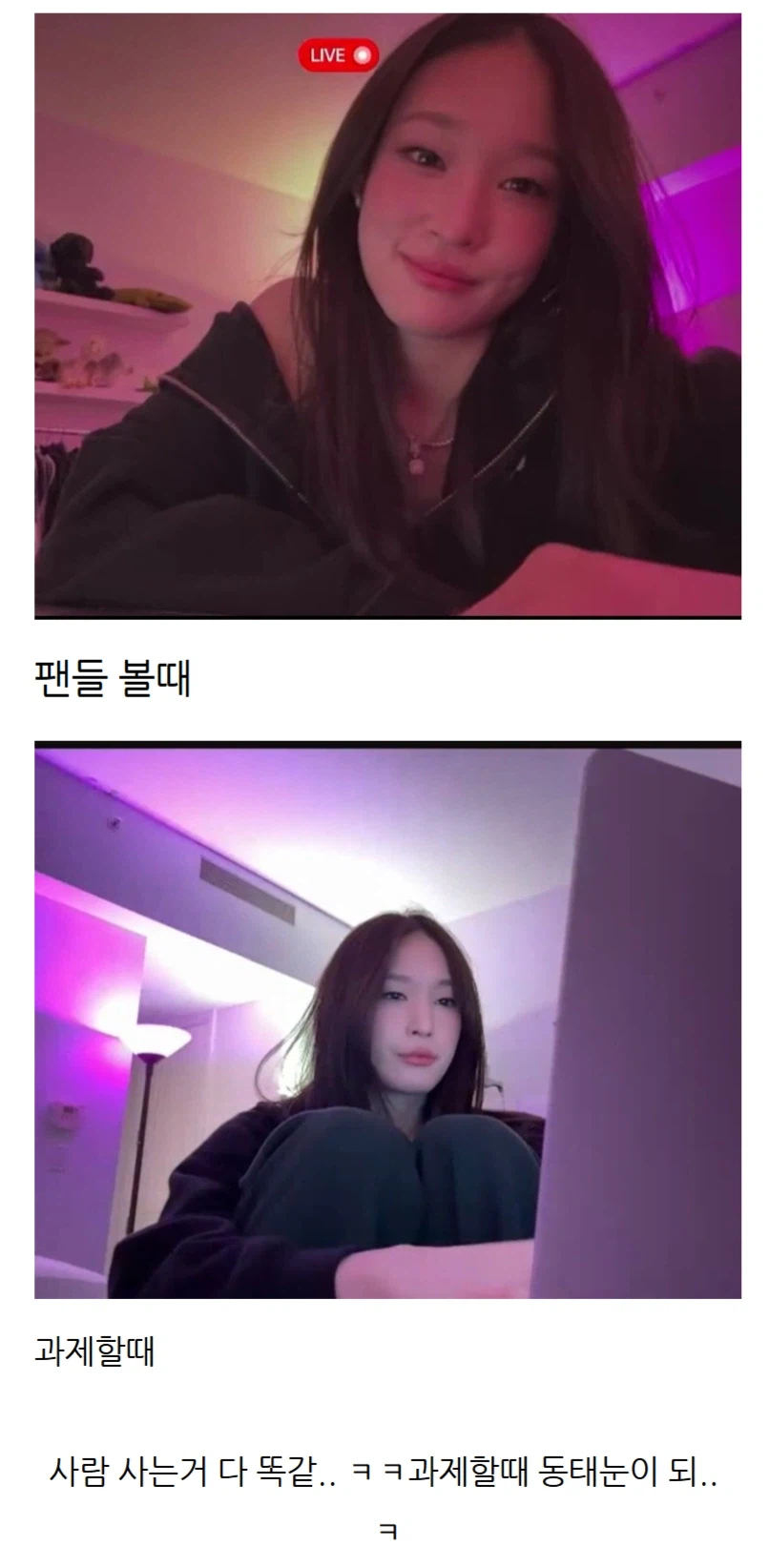 팬들을 볼때와 과제할때_1.webp