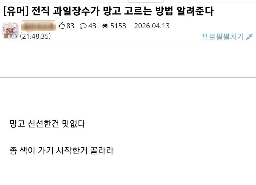과일 팔던 디시인이 알려주는 좋은 망고 고르는 방법_1.webp