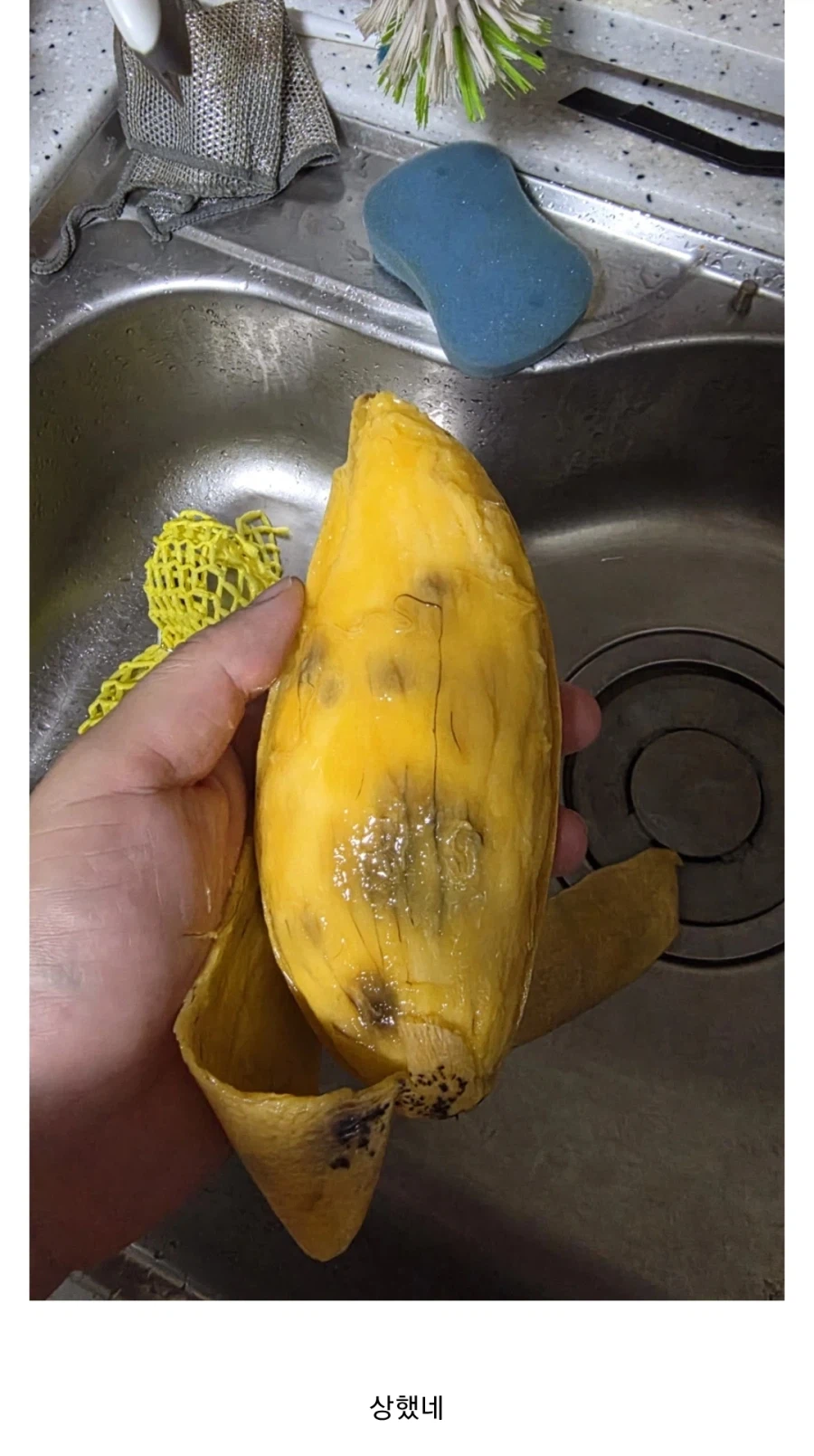 과일 팔던 디시인이 알려주는 좋은 망고 고르는 방법_3.webp