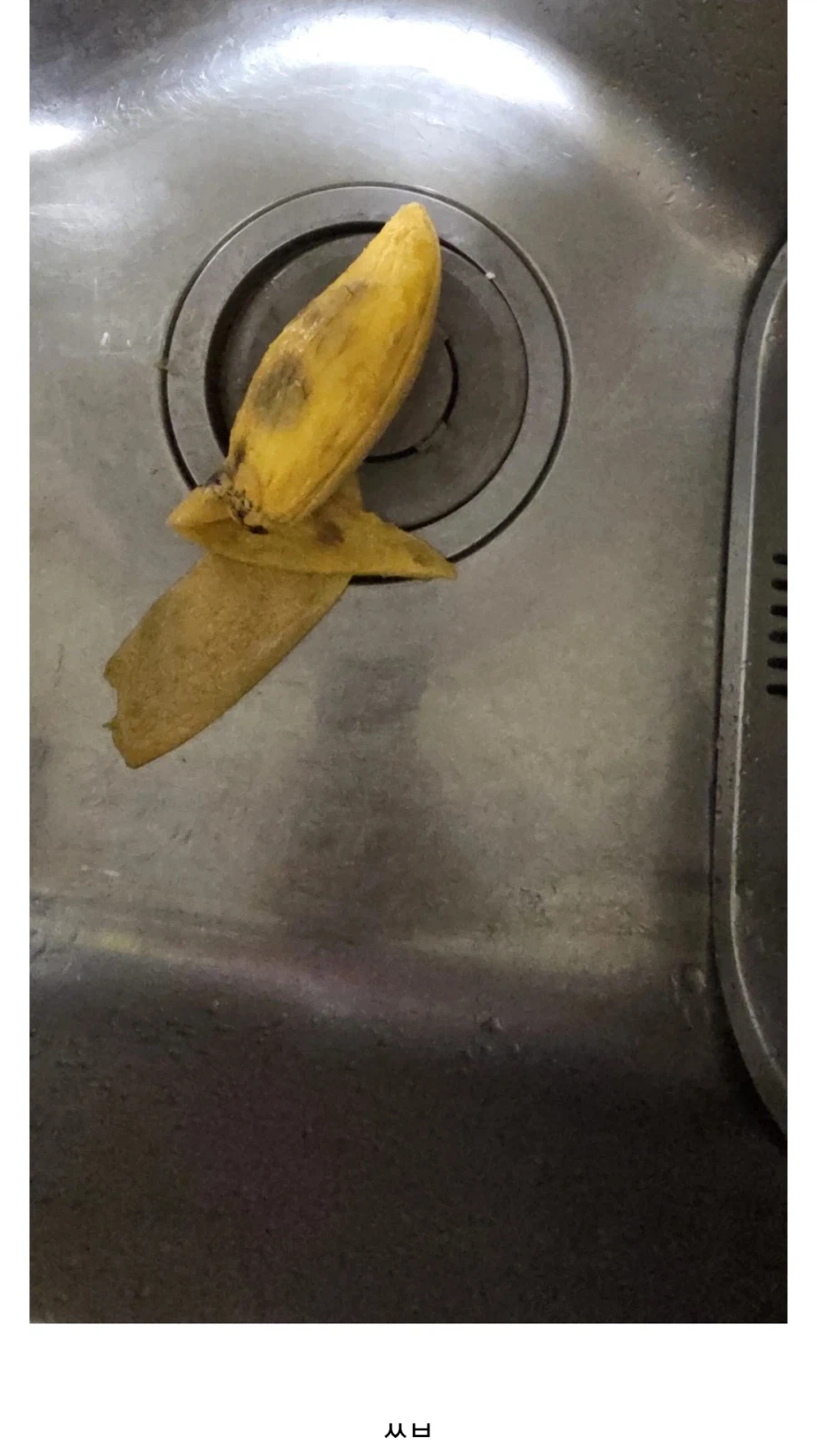 과일 팔던 디시인이 알려주는 좋은 망고 고르는 방법_4.webp