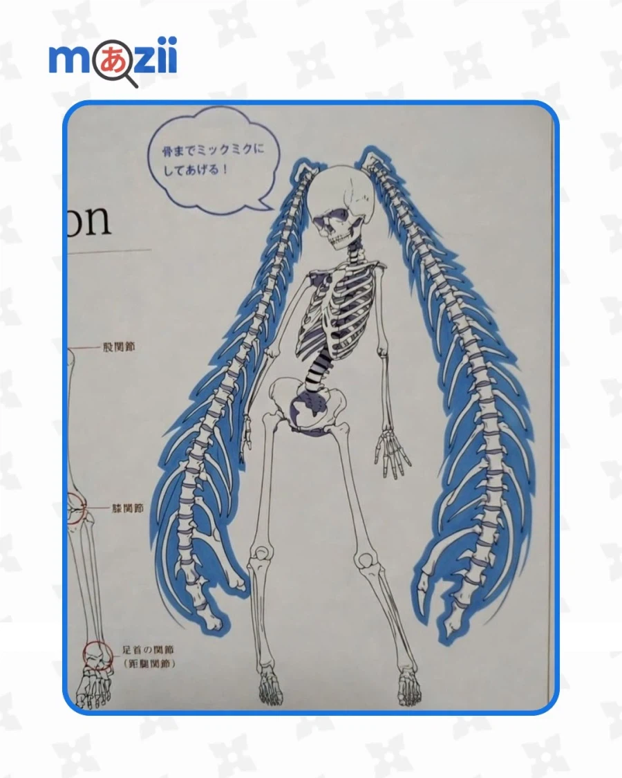 미쿠의 골격.jpg_1.webp