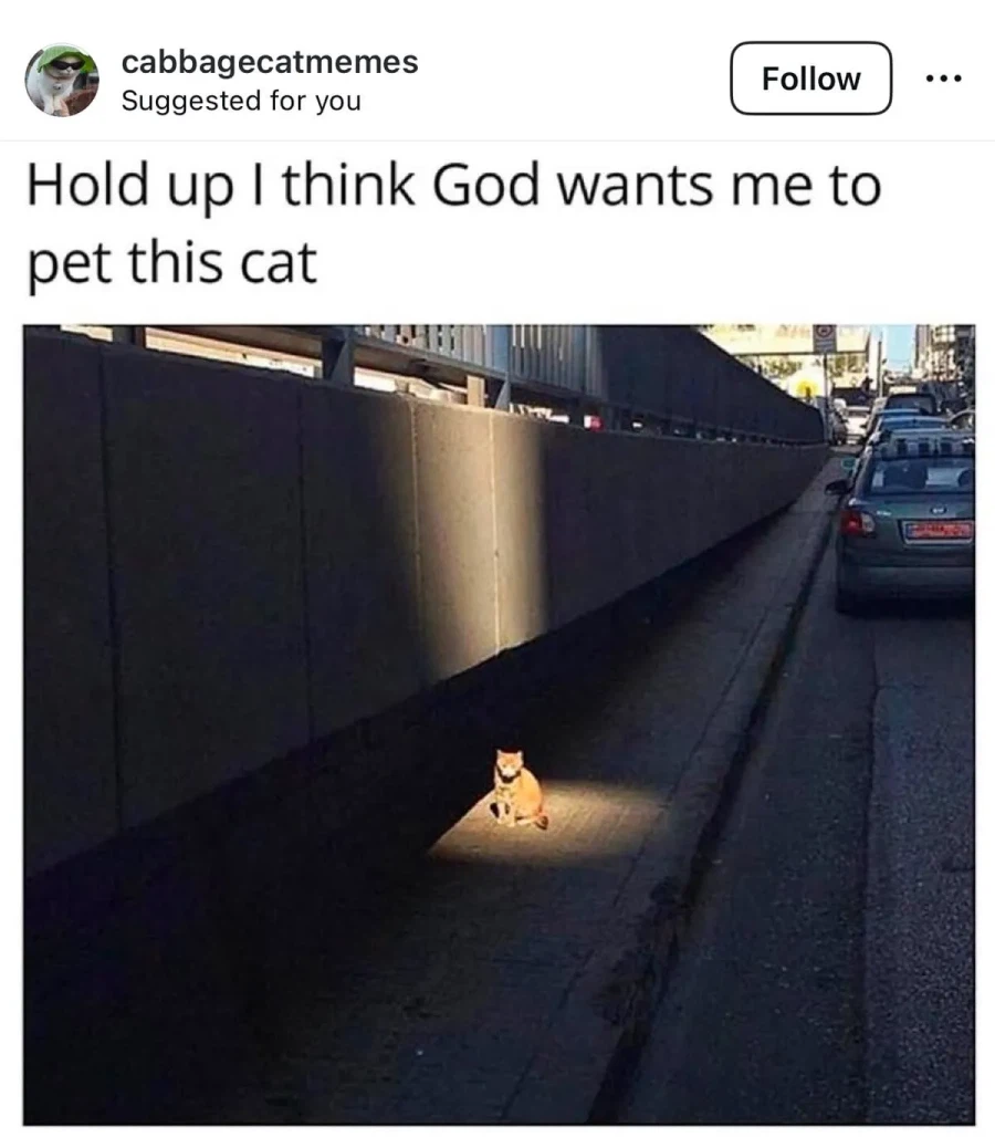 길거리에서 신의 계시를 받은 사람.jpg_1.webp