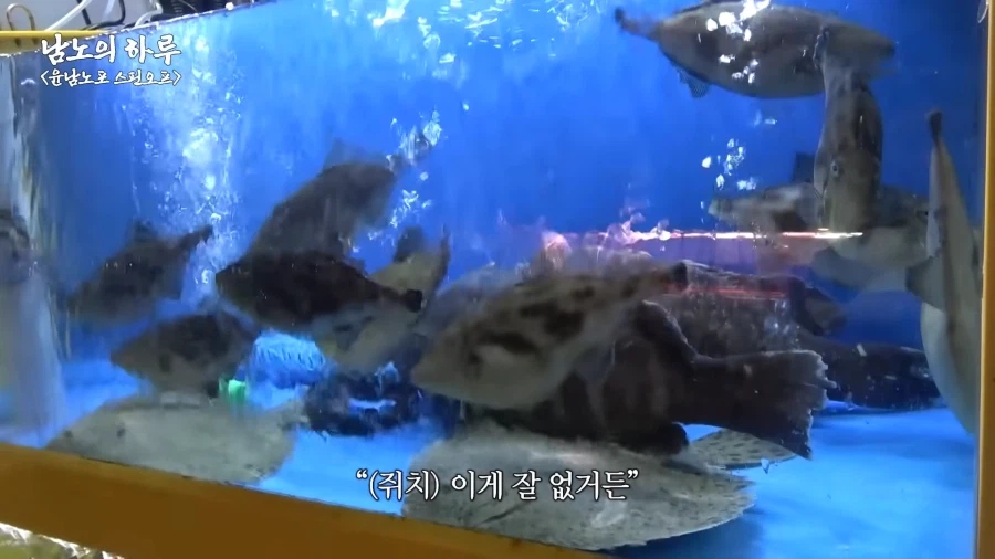 유튜브) 존나 먹잘알 윤남노_2.webp