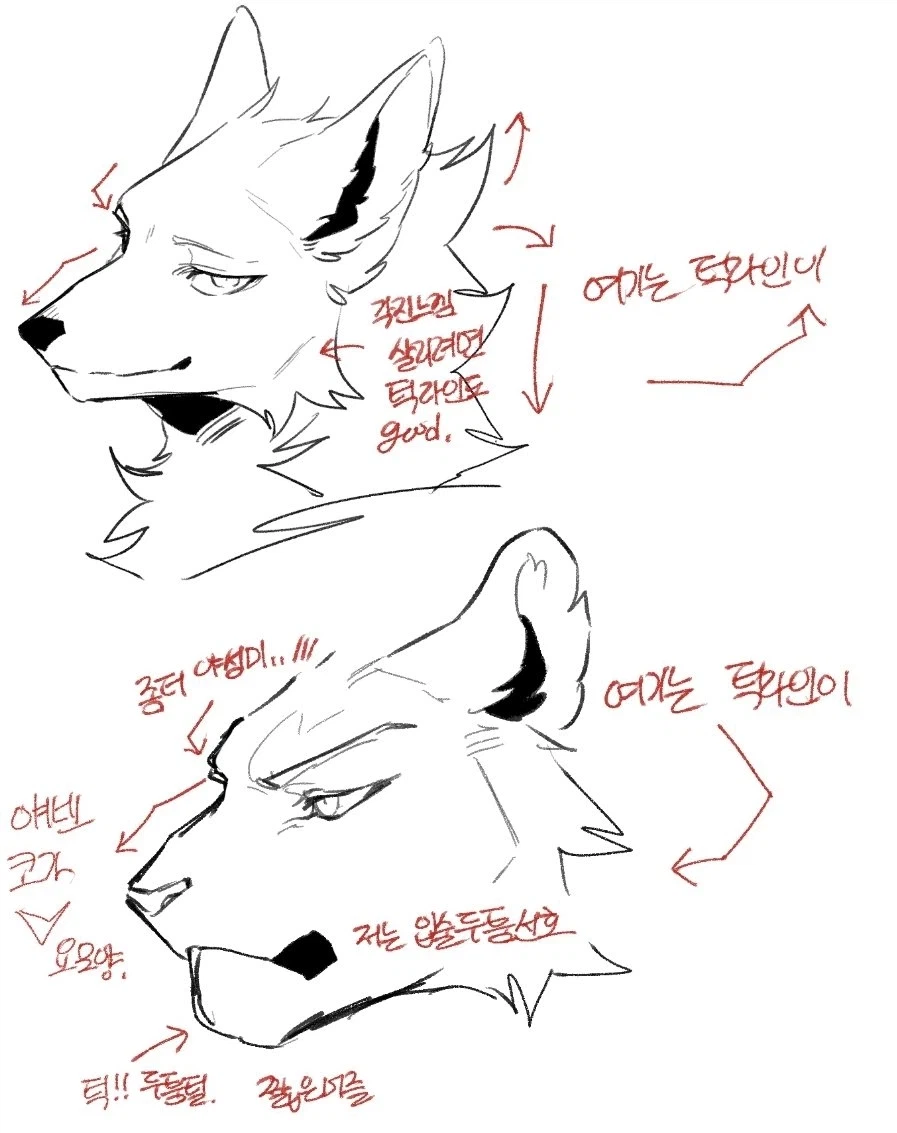 퍼리 그리는 방법_2.webp