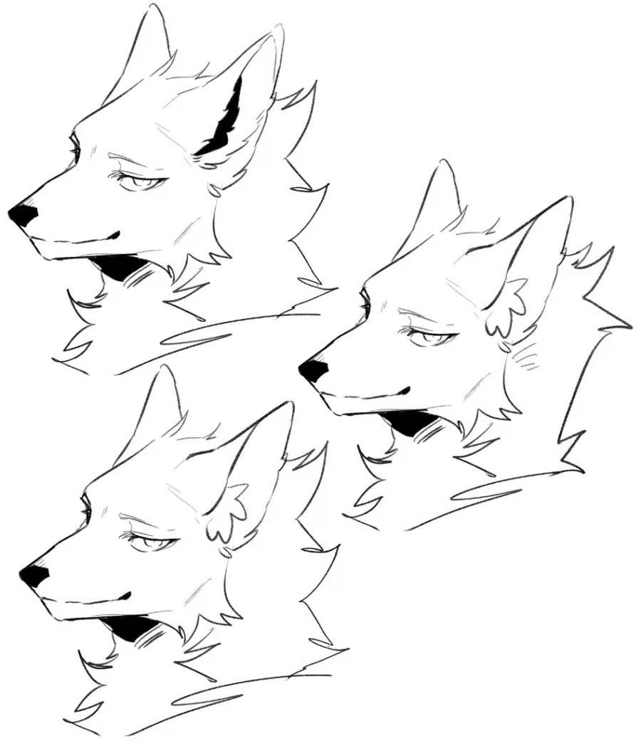 퍼리 그리는 방법_3.webp