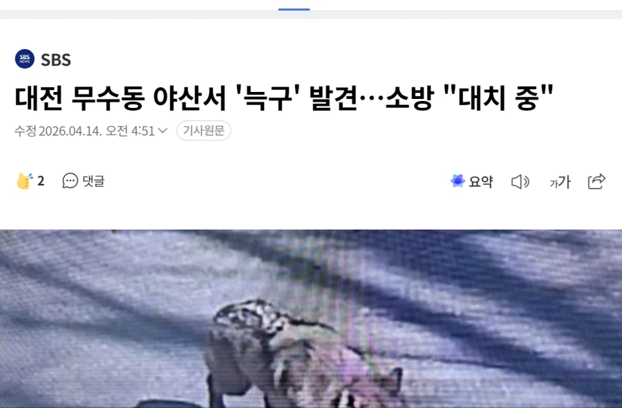 늑구 아까 영상이 진짜인진 몰라도 진짜 포획 직전인가본데_1.webp