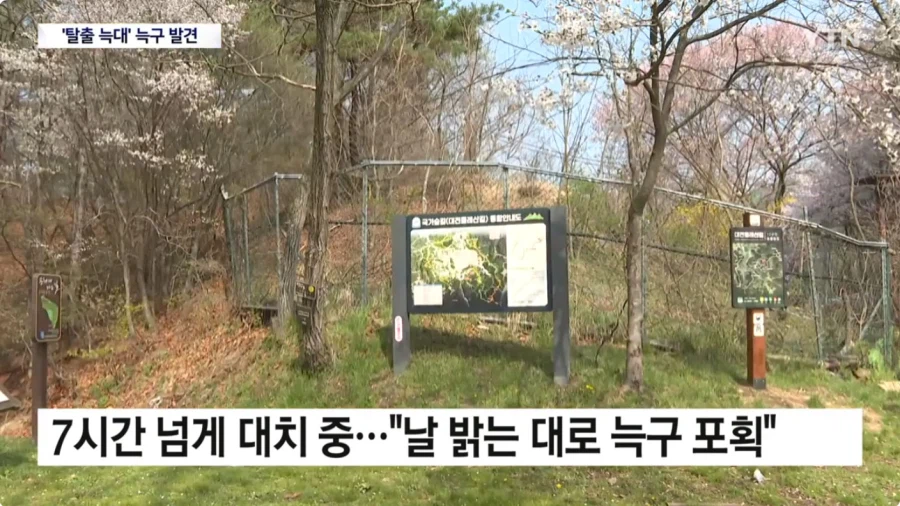 마참네 발견된 늑돌이_4.webp