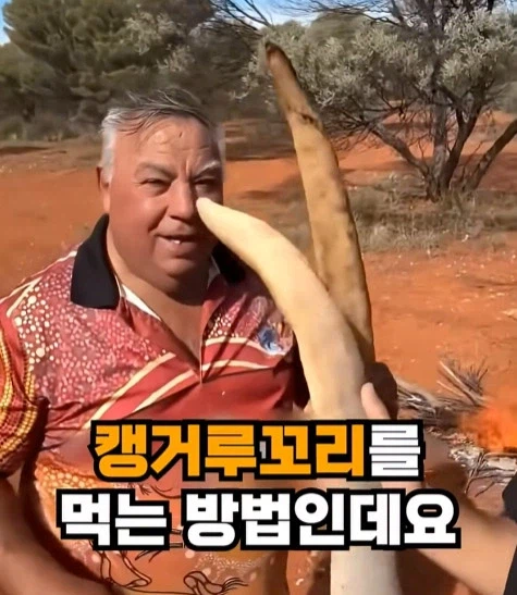 호주에서 캥거루 꼬리고기 먹는 방법_1.webp
