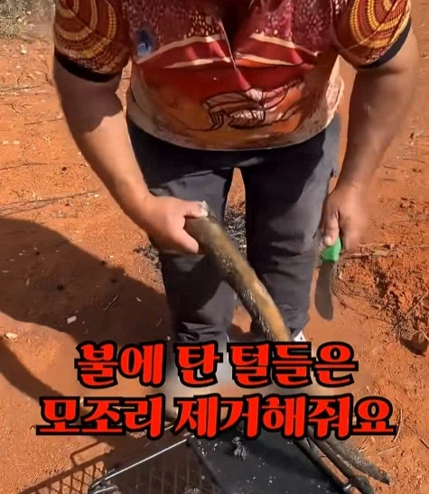 호주에서 캥거루 꼬리고기 먹는 방법_5.webp