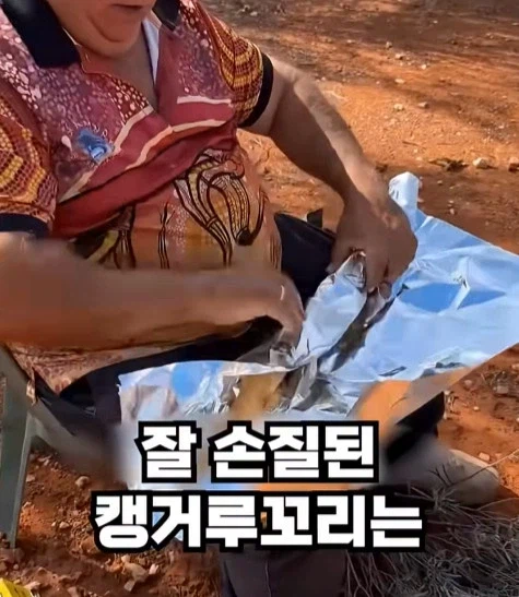 호주에서 캥거루 꼬리고기 먹는 방법_6.webp