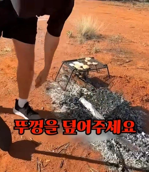 호주에서 캥거루 꼬리고기 먹는 방법_10.webp